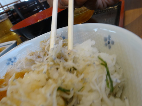 DSC07904