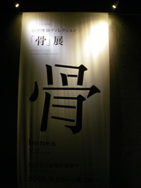 骨