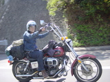 エナリ君高速