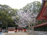 20120414,15(K西) 007