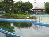 菊名池公園 006