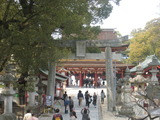4月九州(母、神社、モカ) 046