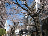 なみこ(袴)2011.3.24&25) 078