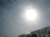 30癒しの公園 021