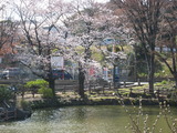 なみこ(袴)2011.3.24&25) 073