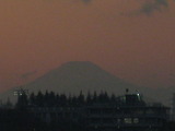 心愛,花、富士山(夕景) 006