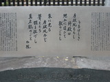 20120414,15(K西) 008