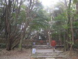 4月九州(母、神社、モカ) 110