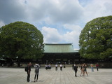 M 005