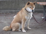 画像 1750
