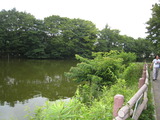 菊名池公園 004