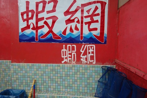 DSC05775