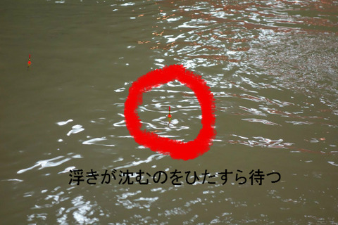BlogPaint