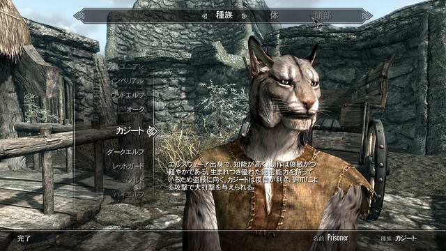 ScreenShot17