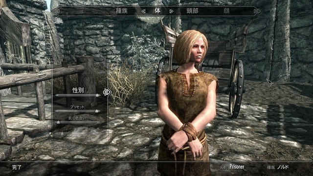 ScreenShot12