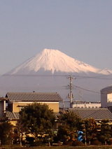 fedcb427.jpg