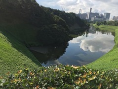 皇居8月3日