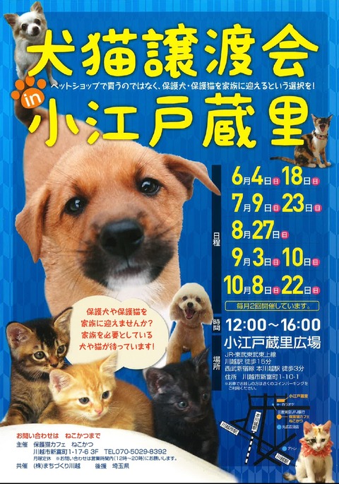 犬猫チラシ6月~10月