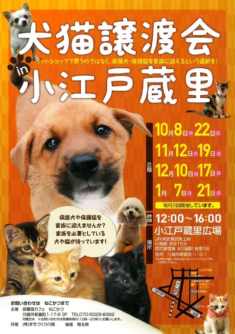 犬猫POP(10月~1月)