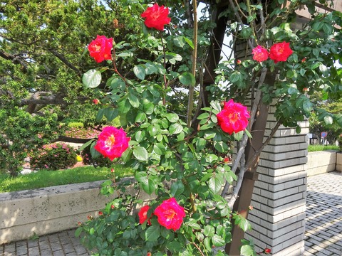 DSC01920