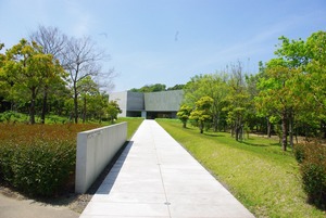 IMGP7944 (1)