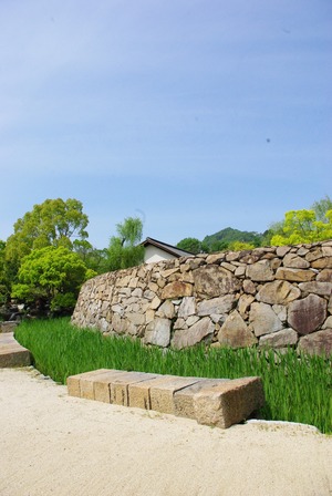 IMGP7949