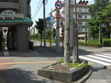 magari