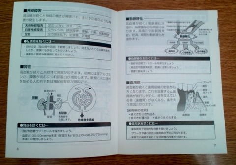 糖尿病連携手帳 (2)