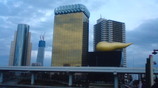619bb181.jpg