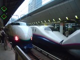 f812c204.jpg