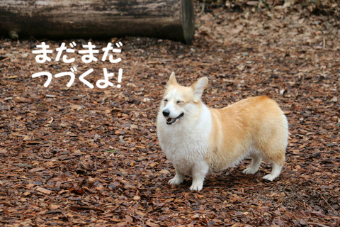 BlogPaint
