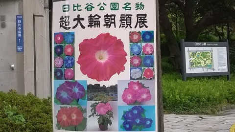 WP_20170801_025