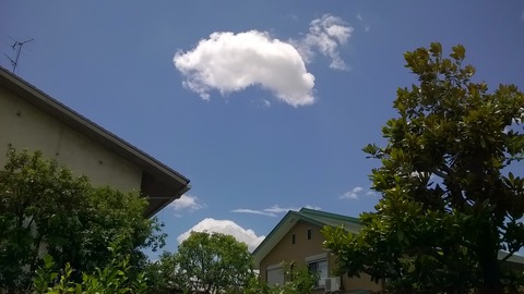 WP_20170807_003