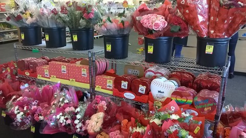 WP_20180212_022