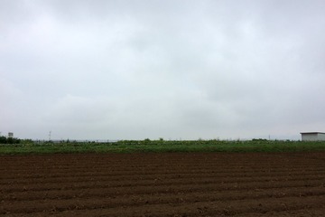 ÄêÅÀŪ»£±Æ20160712
