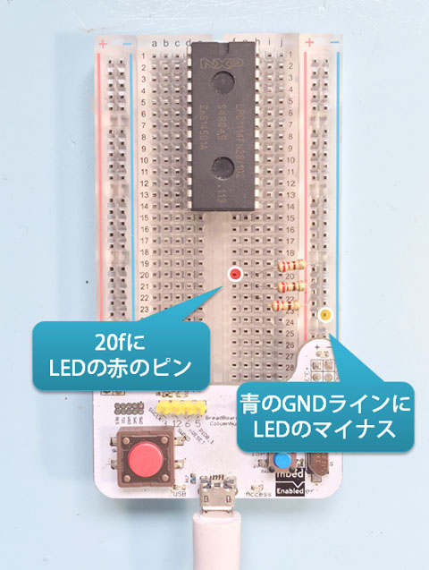 ledredpin