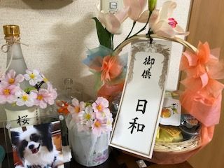 2017hatsubon