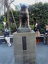7f62e5e3.jpg