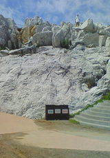 ddcd2779.jpg