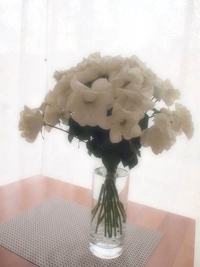 P2012809