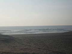 P1030872-s
