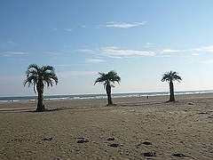 P1030792-s-s