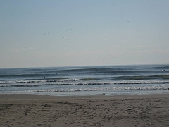 P1030850-s