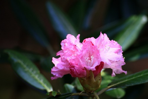 037c4429.jpg