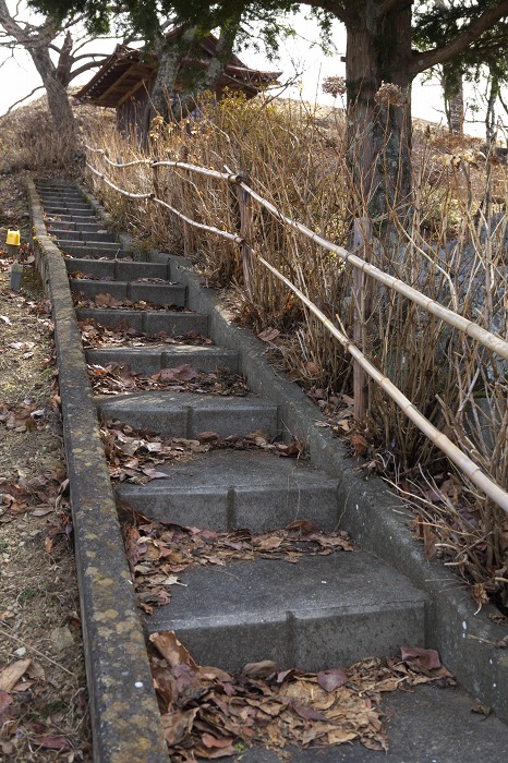 05674d8a.jpg