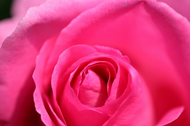 06c4a9f6.jpg