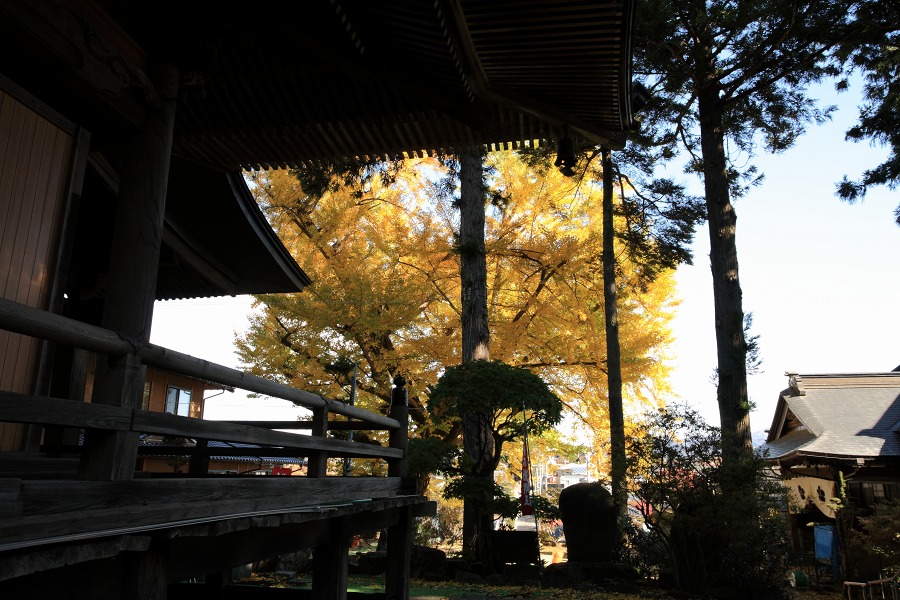 08712f03.jpg