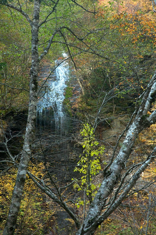 0e2cdcc9.jpg