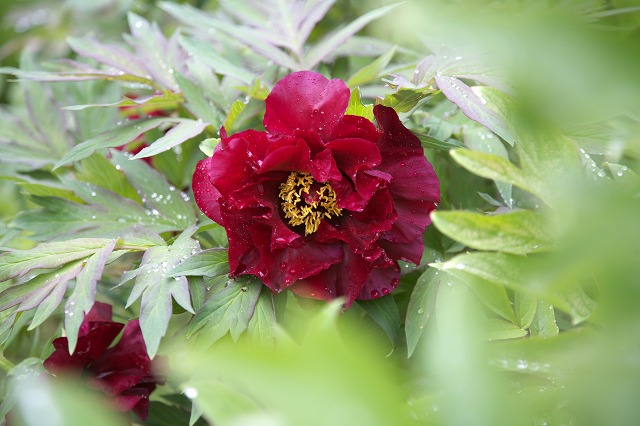 181ec367.jpg