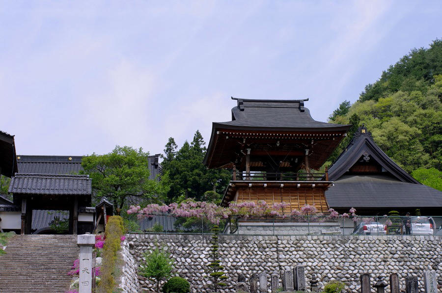 1cea150d.jpg